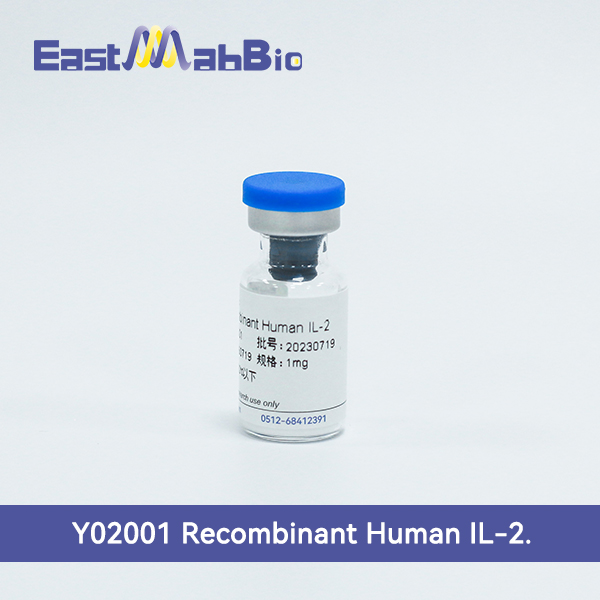 Рекомбинантный человеческий ИЛ-2