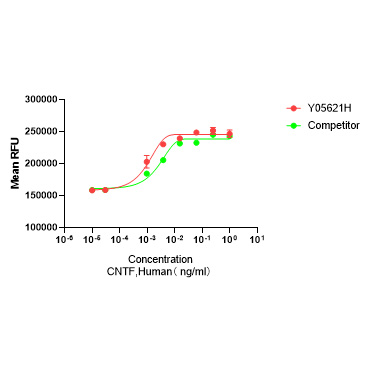 Y05621H Рекомбинантный Человеческий CNTF