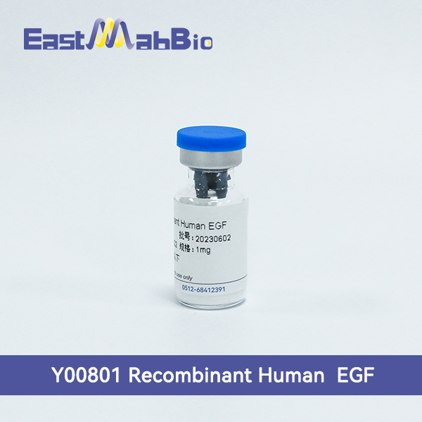 Y00801 Рекомбинантный человеческий EGF - Jiangsu East-Mab Biomedical Technology Co.,Ltd.