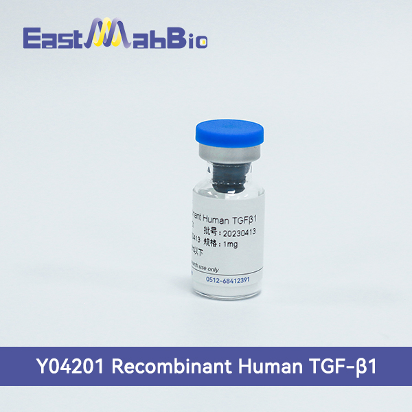 Рекомбинантный человеческий TGF-β1