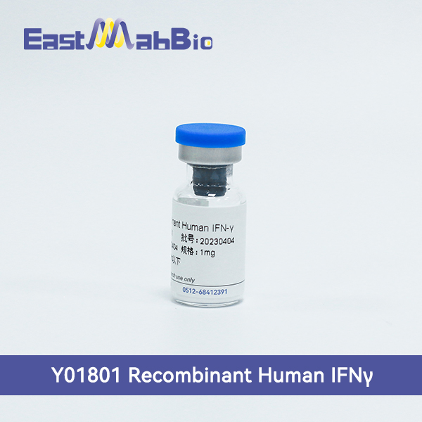 Y01801 Рекомбинантный человеческий IFN-γ