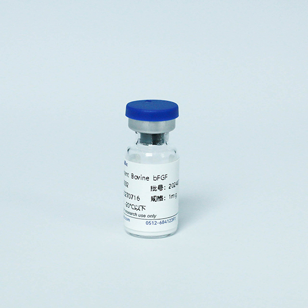 Y00331 Рекомбинантный Бычий bFGF