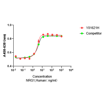 Y01621H Рекомбинантный Человеческий NRG1-β1