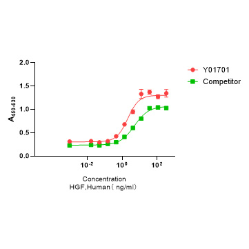 Y01701 Рекомбинантный Человеческий HGF