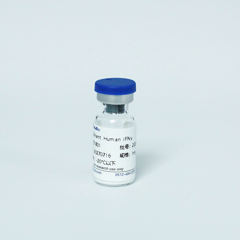 Интерферон（IFNs）