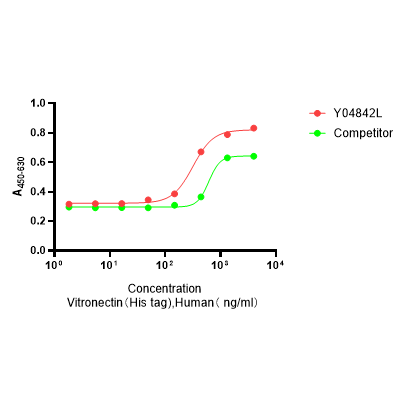 Y04842L  Рекомбинантный Человеческий Витронектин (His Tag,HEK293-expressed)