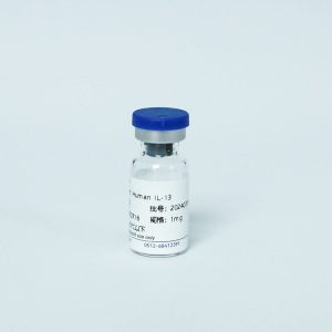 Y06501 Recombinant Human IL-13