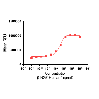 Y06941H Рекомбинантный Человеческий β-NGF