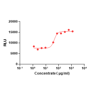 Y07511 Recombinant Bovine Fetuin A