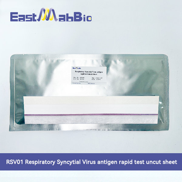 Тест на респираторно-синцитиальный вирус