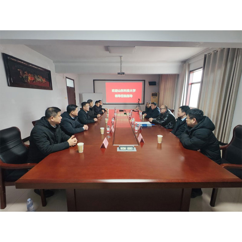 Профессора Шаньдунского университета науки и технологий (кампус Циндао) посетили нашу компанию для консультаций и обсуждения сотрудничества между промышленностью, университетом и научно-исследовательскими учреждениями.