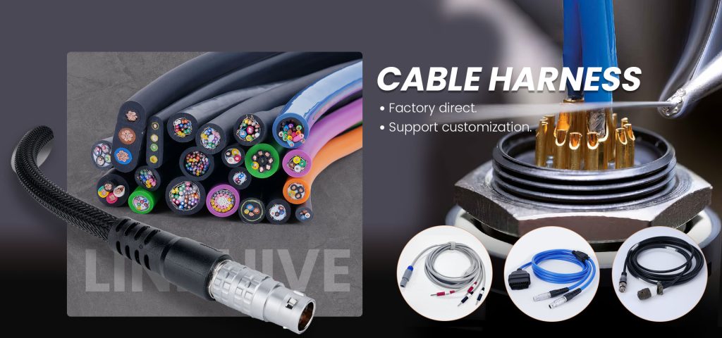 4246-202411221653557481 4246-202411221653557481