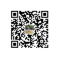 Диаграмма QR-кода