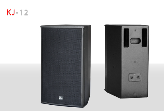 Динамик KJ-12 (пассивный) — Профессиональный акустический столб для средних и крупных площадок