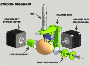 LY eggbot normal (8)