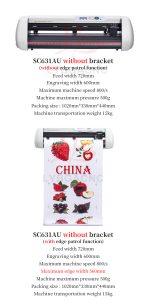 细节 (3)