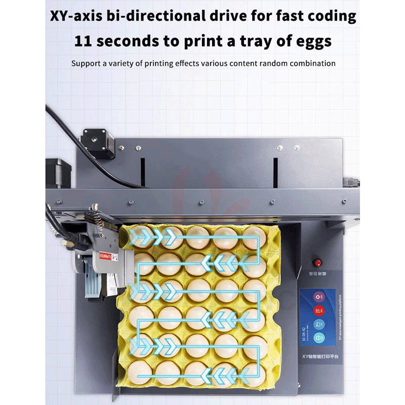 Y-Полностью автоматический специальный струйный принтер для яиц ОК