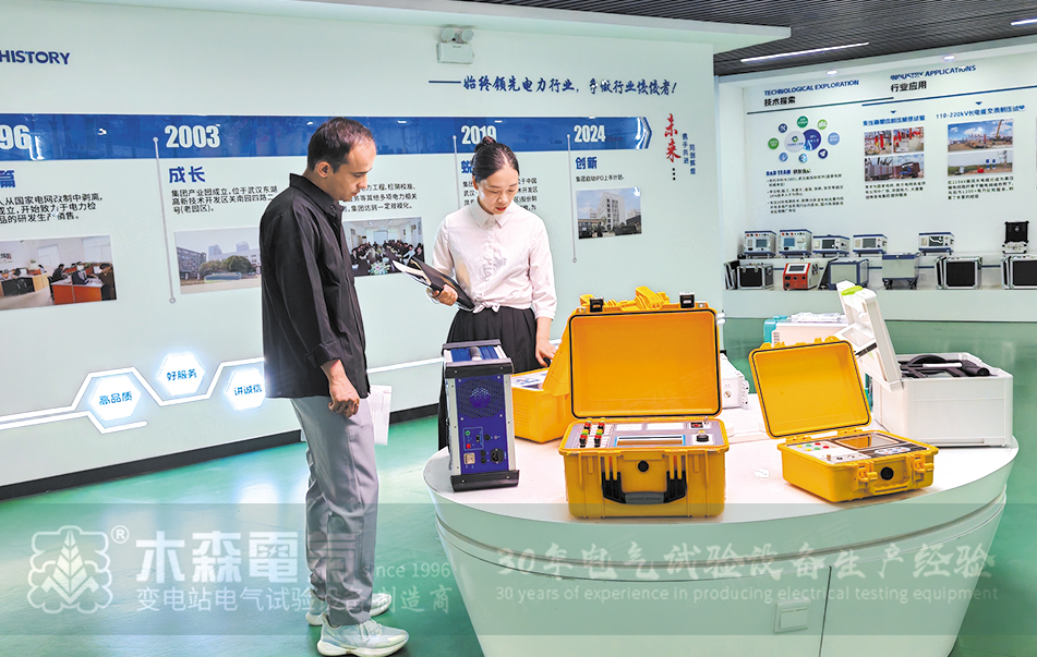 Производитель испытательного оборудования для электроснабжения. Пакистанские клиенты. Виит