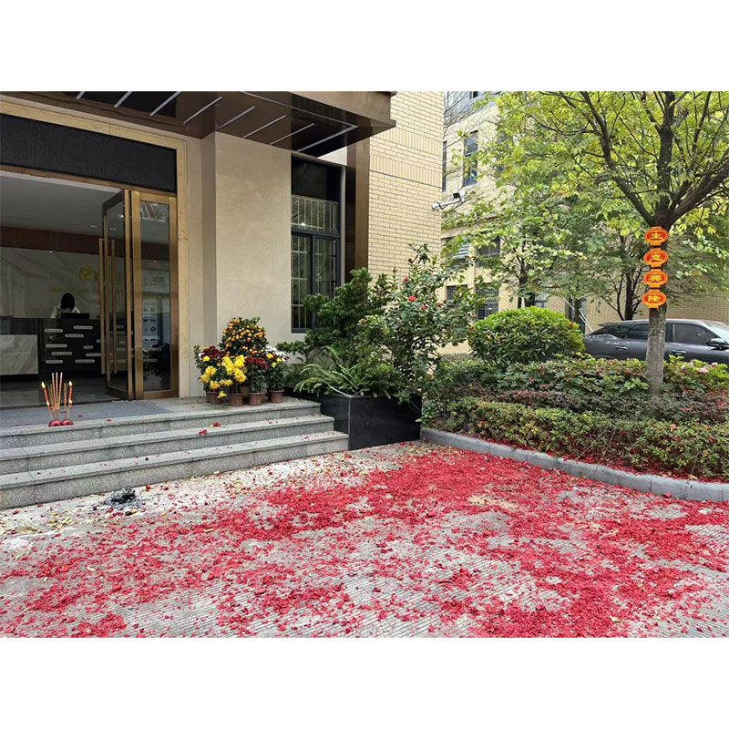 Новое начало | Компания Prosurge Electronics начинает полномасштабную деятельность в год Лошади, работая вместе для достижения новых высот в 2026 году