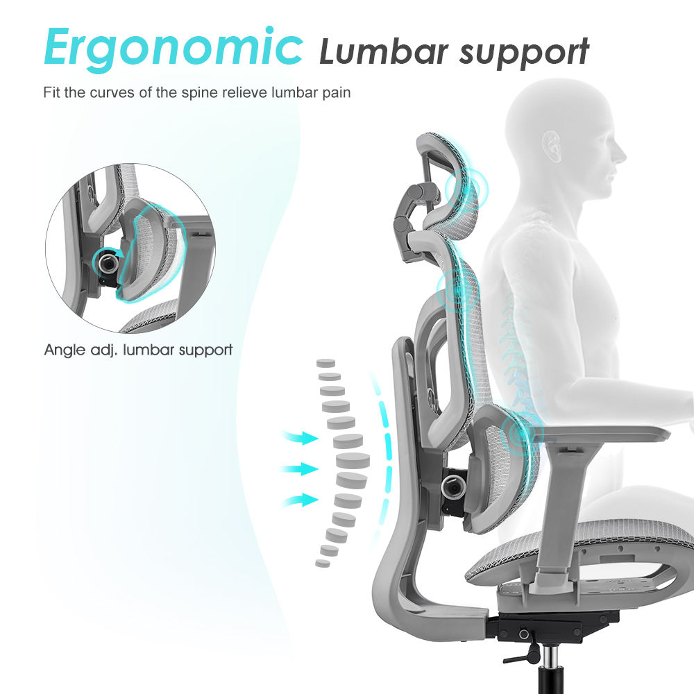 Китай Эргономичные кресла — современное офисное кресло с сетчатой поддержкойзавод Поставщик - ООО компания Гуанчжоу Мэйи Мебель
