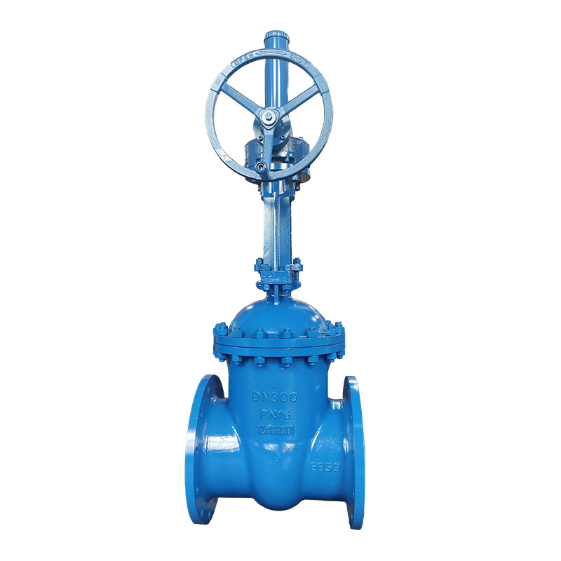 Крупногабаритные задвижки российского стандарта из стали 12Х18Н9ТЛ: эффективность в сложных условиях эксплуатации