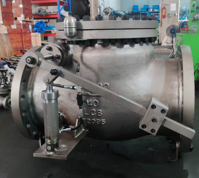 CHECK VALVE WITH COUNTER