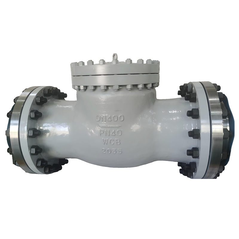 DIN Поворотный обратный клапан PN40 DN400