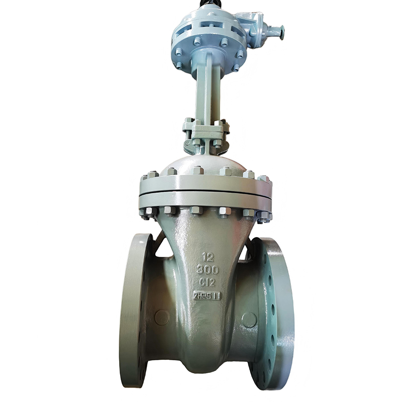 Задвижка с фланцевыми концами C12 – Задвижка с болтовым креплением крышки API600