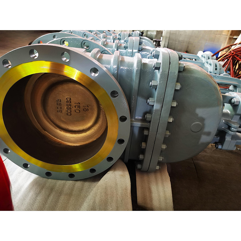 Фланцевый задвижной клапан API600 с отделкой из стали C95800 (алюминиевая бронза)