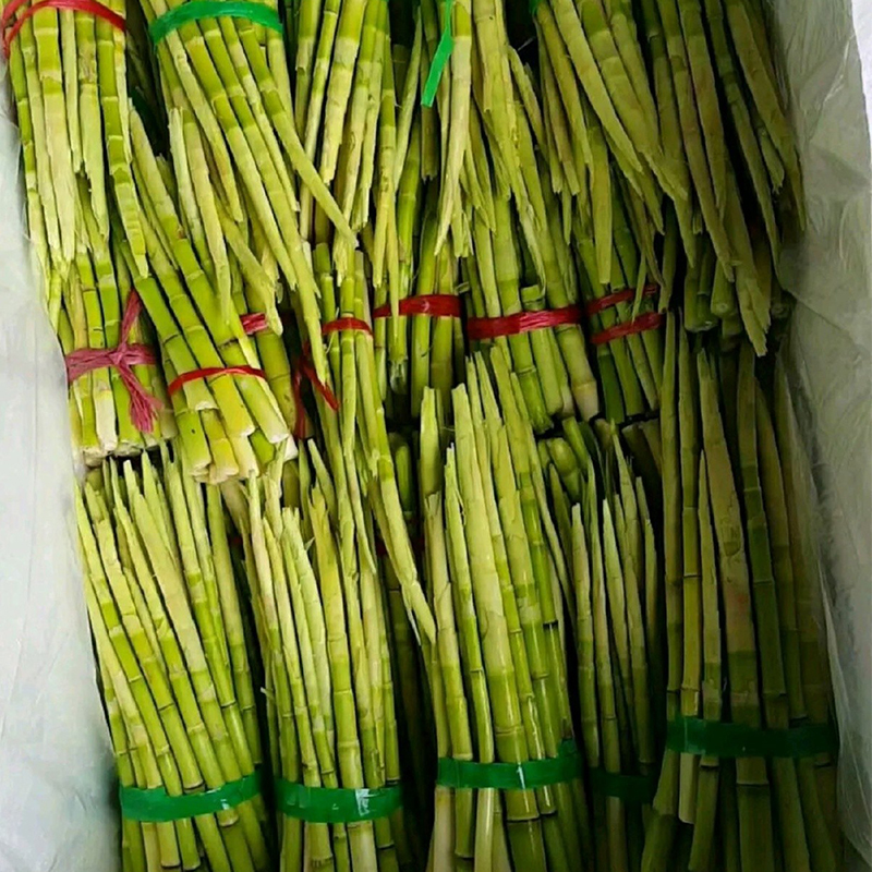 Поставки из лучших производственных районов Китая – раскрываем секреты качества побегов бамбука сорта Циншуй.