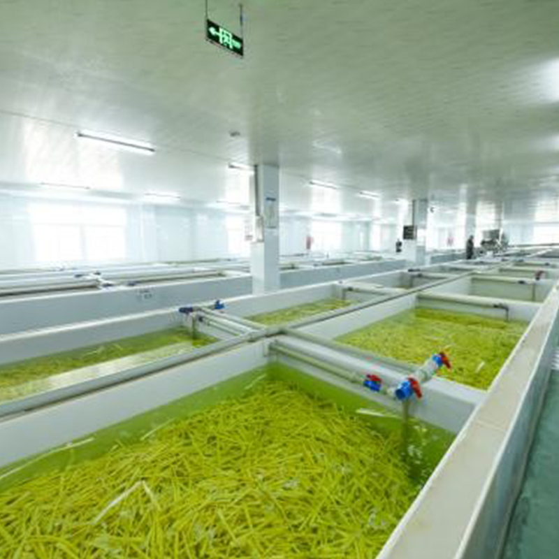 Природный деликатес, рожденный в высокогорье: код качества дикого бамбука из Сычуани