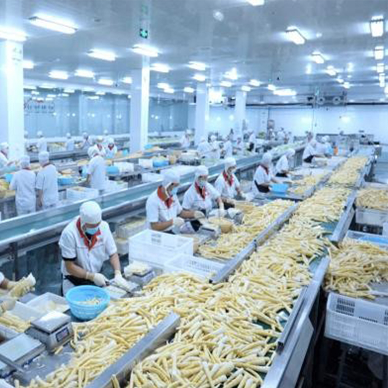 Новый низкокалорийный продукт с высоким содержанием клетчатки: помогаем российским семьям питаться здоровее