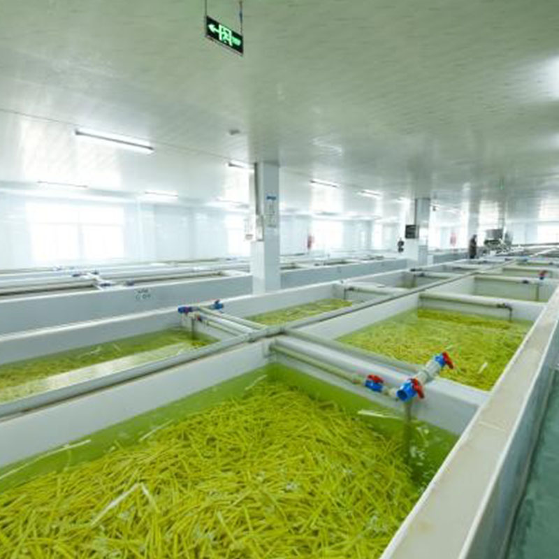 Ценовое преимущество: двойное расширение возможностей масштабного производства и политических дивидендов