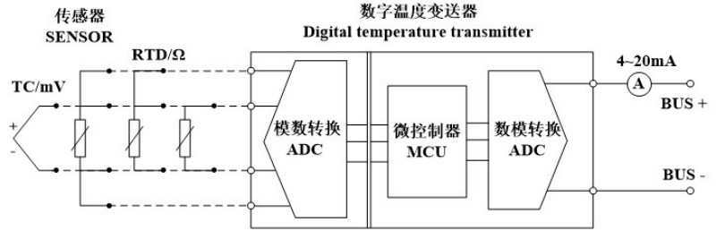 xinwen1 (2)