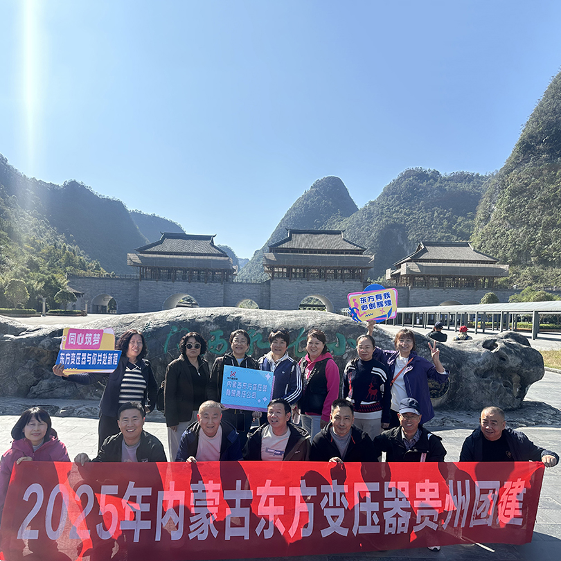 Путешествие через горы и моря, объединенные целью достичь далеких горизонтов: опытные сотрудники Dongfang Transformer успешно завершили свой выездной семинар по командообразованию в Гуйчжоу.