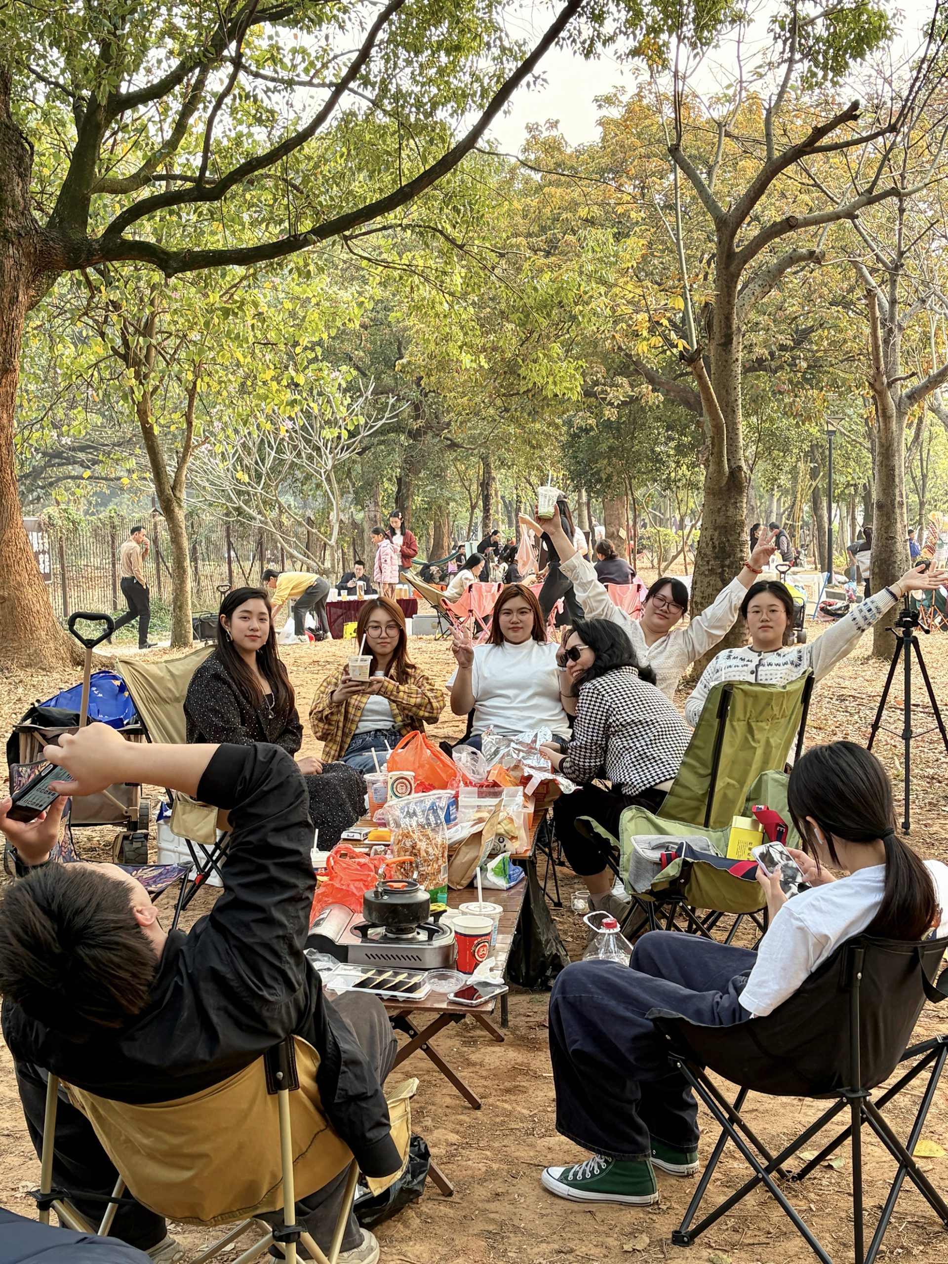 微信图片_20260120084258_1074_6