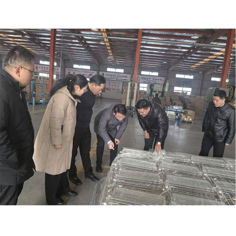 Заместитель главы исполнительной власти уезда Шуян вместе с руководителями научно-технического управления и правительственных учреждений посетили компанию Jiangsu Dexiang Heat Exchanger Co., Ltd. для проведения исследований.