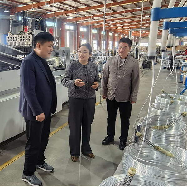 Секретарь уездного парткома Ван провел инспекцию на месте