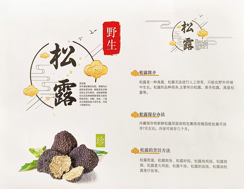 2031f3f4c82daa57b6b087d4576e271_副本