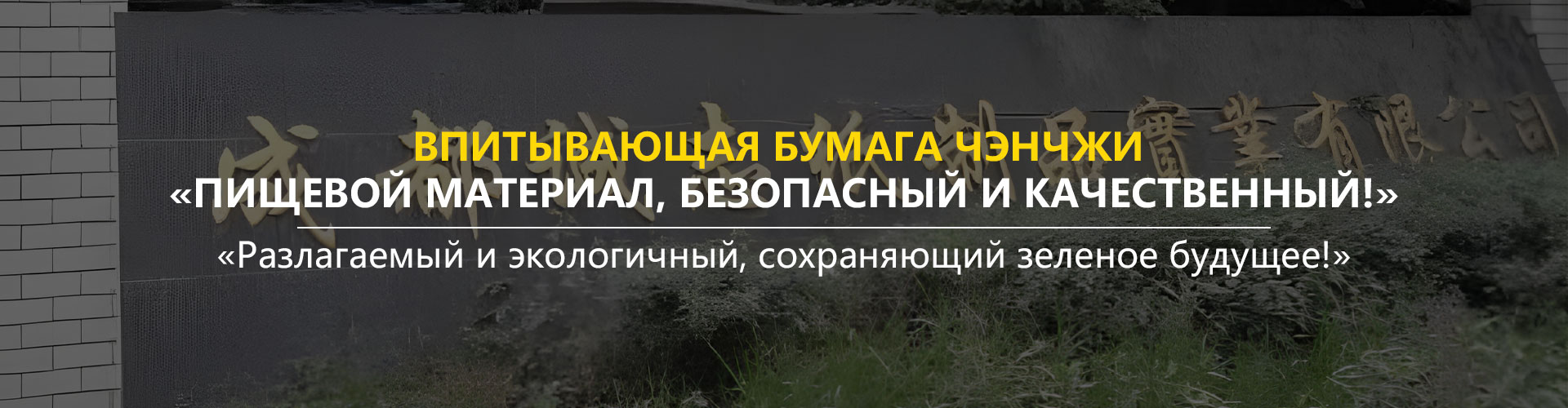 Впитывающая бумага для грибов эноки