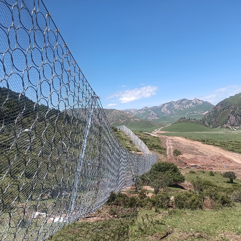 Сеть пассивной защиты