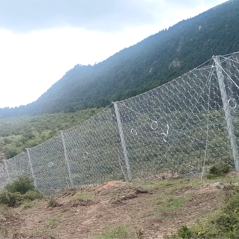 Сеть пассивной защиты