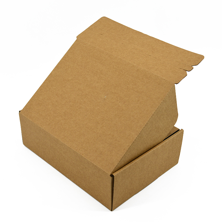 Китай Самосборная коробка из крафт-бумаги Поставщик Производитель - Baisheng Packaging Color Printing