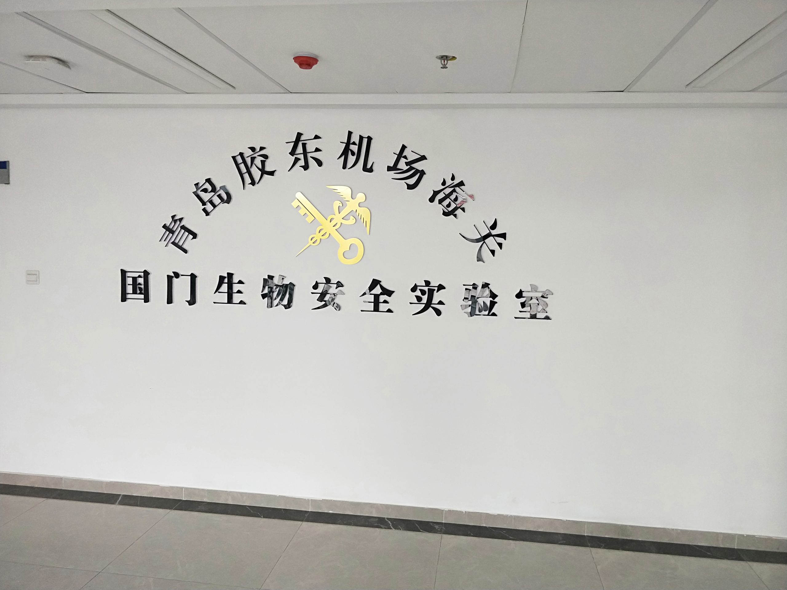 IMG20210906090133