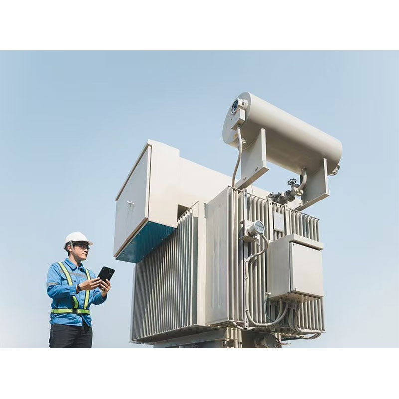 Глубоко укоренившись в интеллектуальном производстве и устанавливая глобальные связи: хроника экспортного пути Shandong Hengxin Electric Group