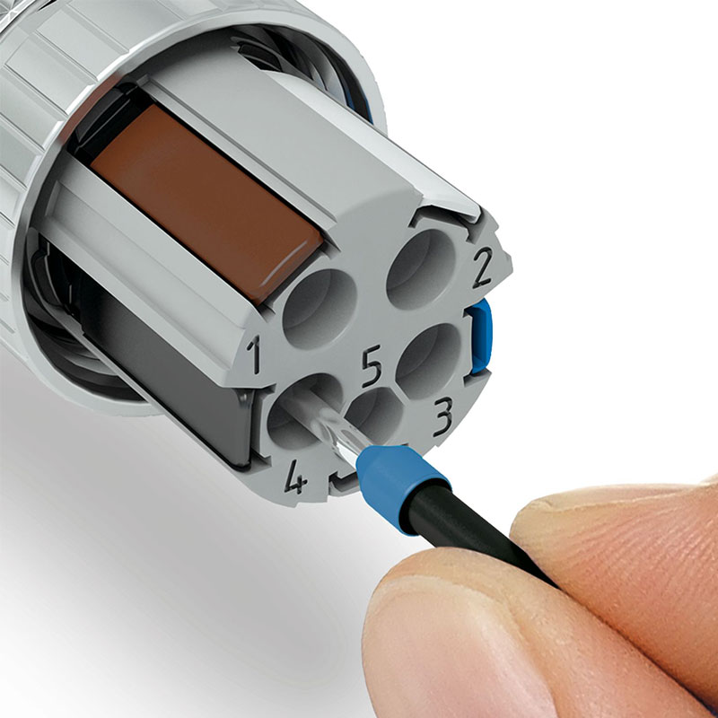 SACC-M12MSD-4PL SH PN