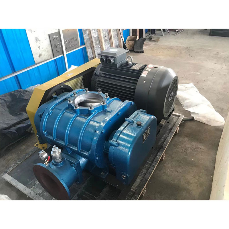 Воздуходувка Рутса с тремя рабочими колесами HBCSR-250H