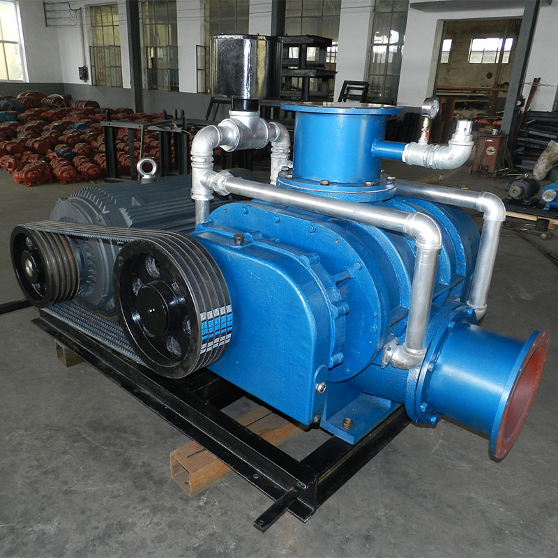 Вакуумный насос HBCSR-300V(VH)