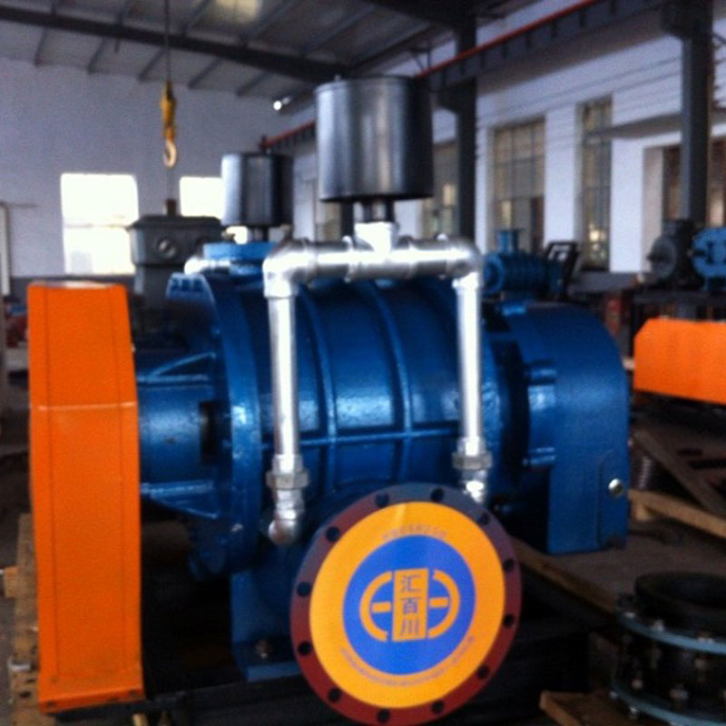 Вакуумный насос HBCSR-350V(VH)