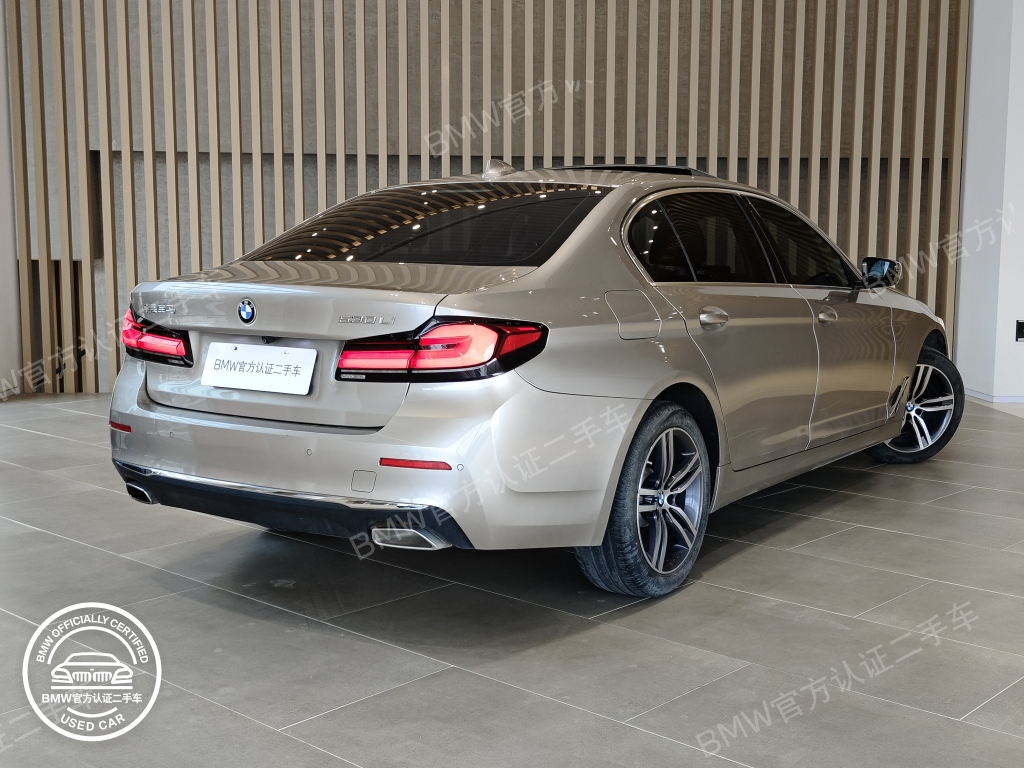 BMW 5 серии с длинной колесной базой 530Li - Huishida Trading